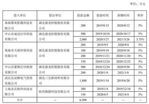 鼎龙股份违规收监管函 6300万元财务资助未及时信披